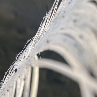 FLOW - new jewellery collection | virginiejg + co | the grey place
