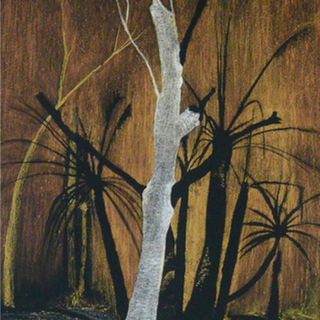 Silva Inferno | Sue Cooke | On from 8 - 19 March 2022 | Exhibition | The Grey Place